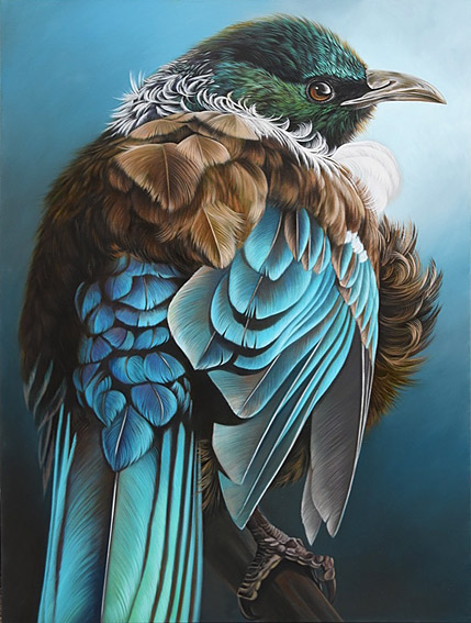 Craig Platt nz bird artist, Tui, Oil on canvas